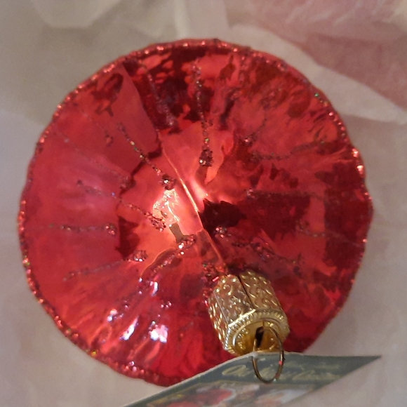 Double Mushrooms Old World Christmas Glass Ornament Red Capped Fungus Retired - Picture 4 of 5